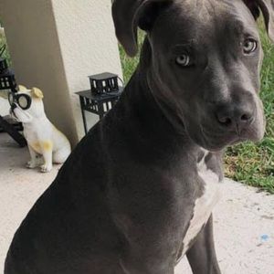 Meet your Posher, Christian